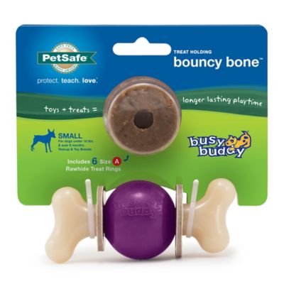 Image showing  Busy Buddy Bouncy Bone Dog Chew Toy