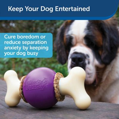 Image showing  Busy Buddy Bouncy Bone Dog Chew Toy