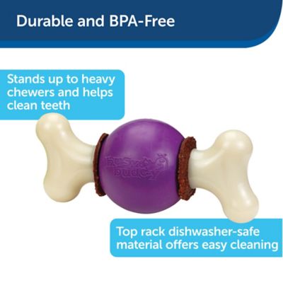 Image showing  Busy Buddy Bouncy Bone Dog Chew Toy