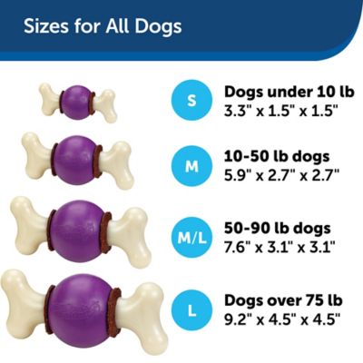 Image showing  Busy Buddy Bouncy Bone Dog Chew Toy