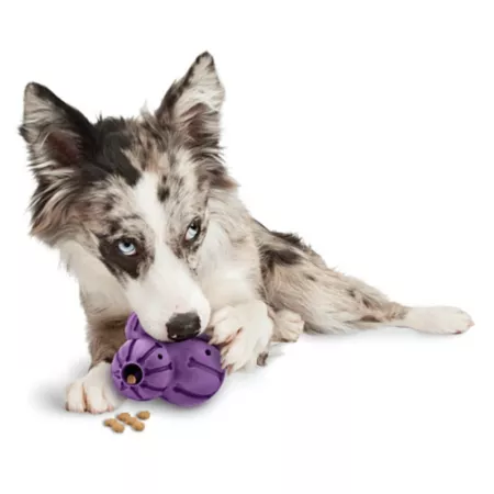 PetSafe Busy Buddy Barnacle Dog Chew Toy Medium Dog Chew Toys