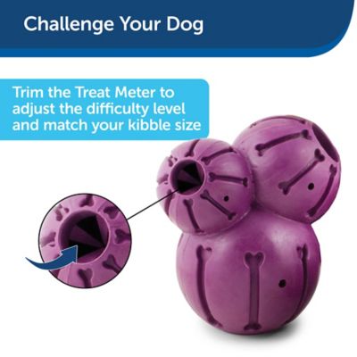 Image showing  Busy Buddy Barnacle Dog Chew Toy, Large