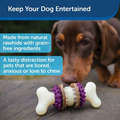 Image showing  Busy Buddy Bristle Bone Chew Toy for Dogs - Strong Chewers - Helps Clean Teeth - Extra Small, Purple