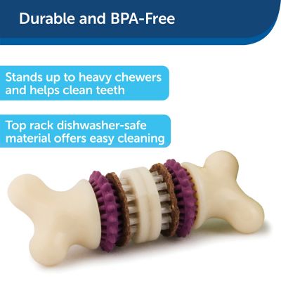 Image showing  Busy Buddy Bristle Bone Chew Toy for Dogs - Strong Chewers - Helps Clean Teeth - Extra Small, Purple