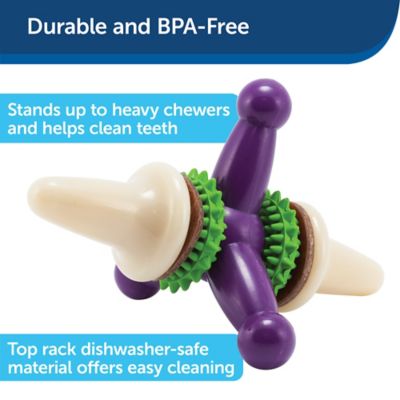 Image showing  Busy Buddy Dental Health Jack Dog Chew Toy, Large