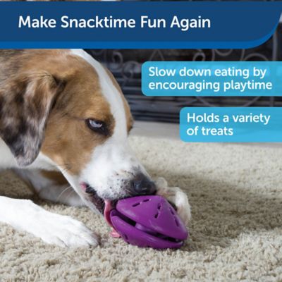 Image showing  Busy Buddy Twist 'N Treat Dog Chew Toy