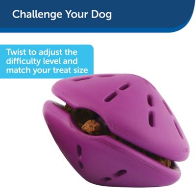 Image showing  Busy Buddy Twist 'N Treat Dog Chew Toy