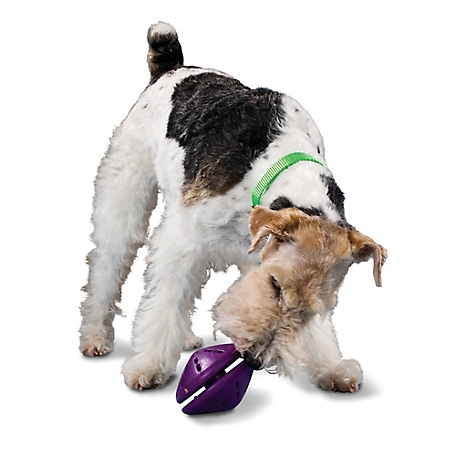 PetSafe Busy Buddy Twist 'N Treat Dog Chew Toy