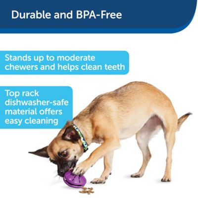 Image showing 4 th PetSafe Busy Buddy Twist 'N Treat Dog Chew Toy