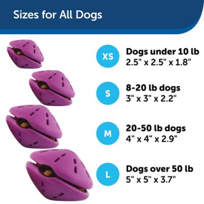 Image showing 5 th PetSafe Busy Buddy Twist 'N Treat Dog Chew Toy
