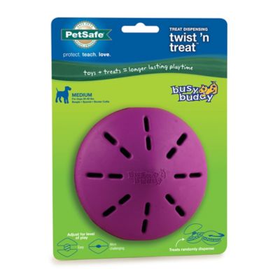 Image showing 6 th PetSafe Busy Buddy Twist 'N Treat Dog Chew Toy