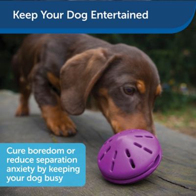 Image showing  Busy Buddy Twist 'N Treat Dog Chew Toy