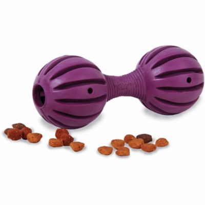 petsafe chew toys