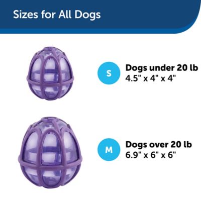 Image showing 5 th PetSafe Busy Buddy Kibble Nibble Dog Chew Toy, S
