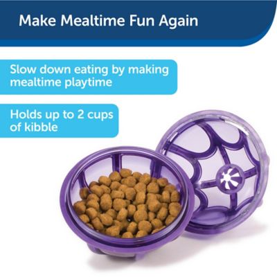 Image showing  Busy Buddy Kibble Nibble Dog Chew Toy