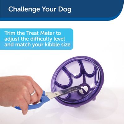 Image showing  Busy Buddy Kibble Nibble Dog Chew Toy