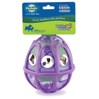Image showing 6 th PetSafe Busy Buddy Kibble Nibble Dog Chew Toy, M/L