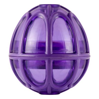 Image showing 7 th PetSafe Busy Buddy Kibble Nibble Dog Chew Toy, M/L