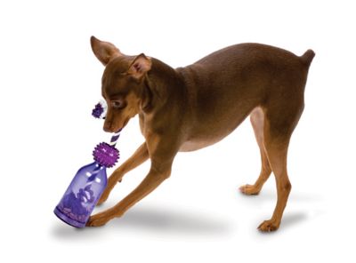 tug a jug dog toy