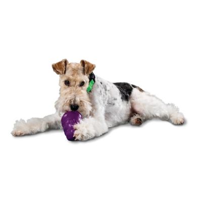 PetSafe Busy Buddy Squirrel Dude Dog Chew Toy, Medium