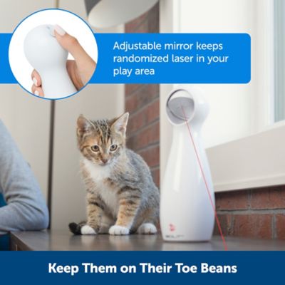 Image showing  Bolt Automatic Laser Light Cat Toy