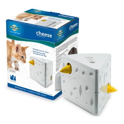 PetSafe Cheese Automatic Interactive Cat Toy Best cat toy we’ve had in a long time