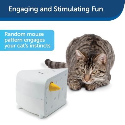 Image showing  Cheese Automatic Interactive Cat Toy