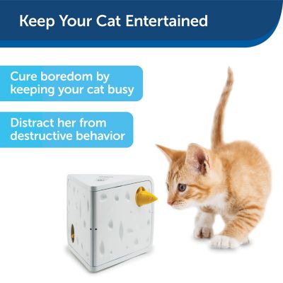 Image showing  Cheese Automatic Interactive Cat Toy