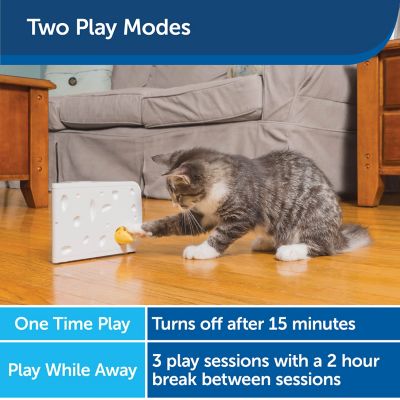 Image showing 5 th PetSafe Cheese Automatic Interactive Cat Toy