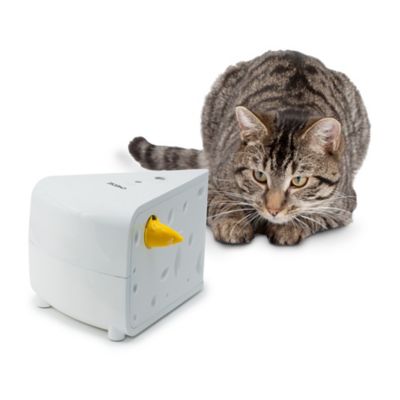 Image showing 7 th PetSafe Cheese Automatic Interactive Cat Toy