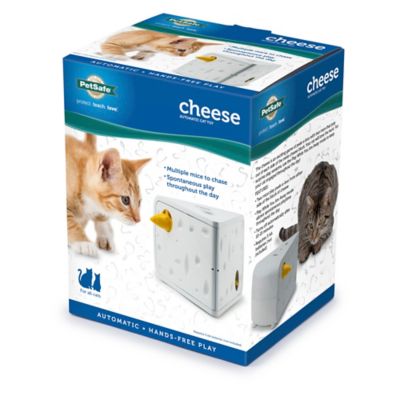 Image showing 9 th PetSafe Cheese Automatic Interactive Cat Toy