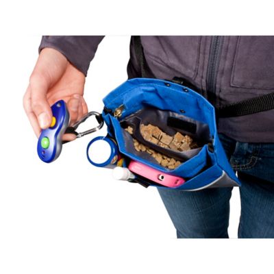 Image showing  Sport Pet Treat Pouch, 7.5 in. x 6.5 in., Cadet