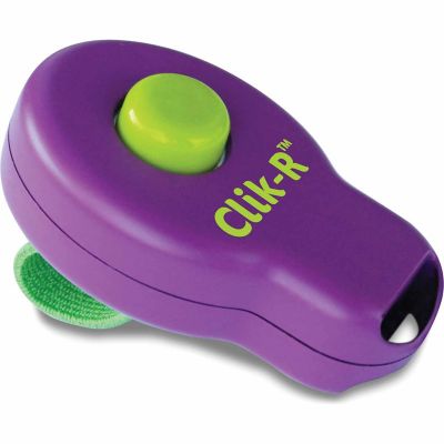 PetSafe Clik-R Dog Training Clicker