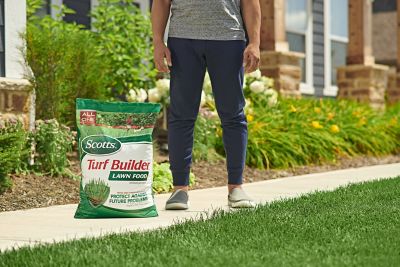 Image showing  37.5 lb. 15,000 sq. ft. Turf Builder Lawn Food