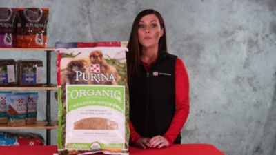 Image showing  Organic Starter-Grower Crumbles Chick Feed, 35 lb. Bag