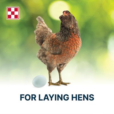 Image showing  Organic Layer Hen Pelleted Chicken Feed, 35 lb. Bag