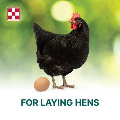 Image showing  Organic Layer Hen Crumbles Chicken Feed, 35 lb. Bag