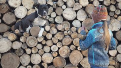 Image showing  Grapho-Glas Replacement Stove Gasket, Rope, 7 ft. x 3/4 in.