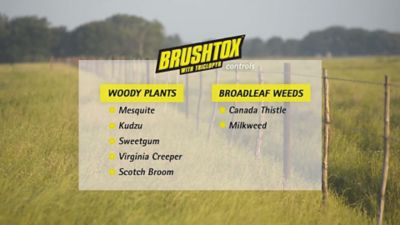 Image showing  64 oz. Brush Killer with Triclopyr, Concentrate
