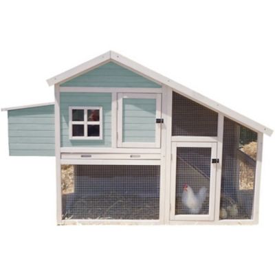 Precision Pet Products Nantucket Chicken Cooprabbit Hutch At Tractor Supply Co