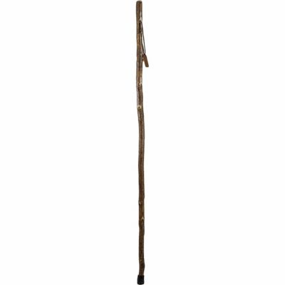Brazos Free-Form Sassafras Walking Stick