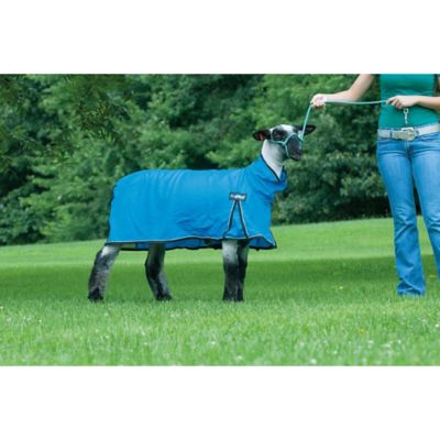 Weaver Leather ProCool Mesh Sheep Blanket with Reflective Piping