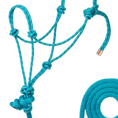 Image showing  Braided Rope Horse Halter with 7 ft. Poly Lead, Medium