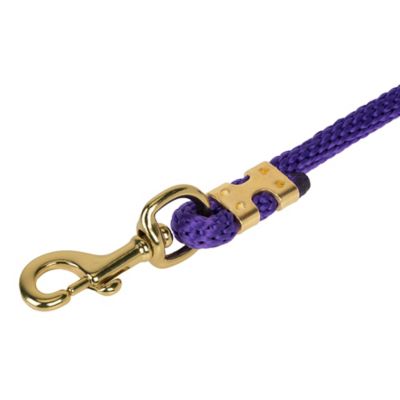 Image showing  1 in. x 10 ft. Polyester Horse Lead with Bolt Snap, Solid