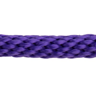 Image showing  1 in. x 10 ft. Polyester Horse Lead with Bolt Snap, Solid