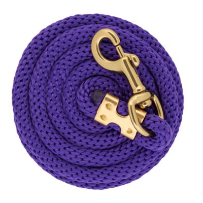 Image showing  1 in. x 10 ft. Polyester Horse Lead with Bolt Snap, Solid