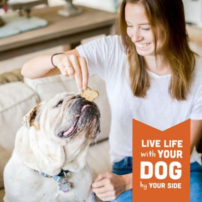 Image showing 6 th Cloud Star Wag More Bark Less Grain-Free Oven Baked Peanut Butter and Apple Flavor Dog Biscuit Treats, 16 oz.