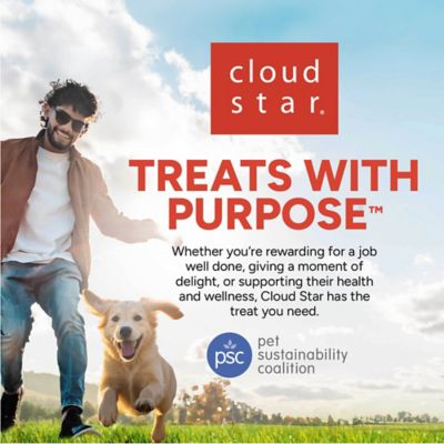 Image showing 7 th Cloud Star Wag More Bark Less Grain-Free Oven Baked Peanut Butter and Apple Flavor Dog Biscuit Treats, 16 oz.