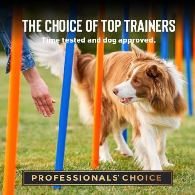 Image showing  Cloud Tricky Trainer, Liver Flavor 14 oz.