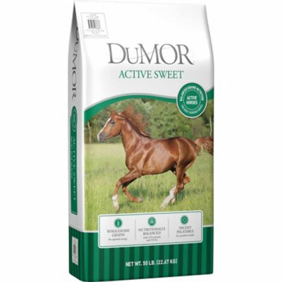 DuMor Equine